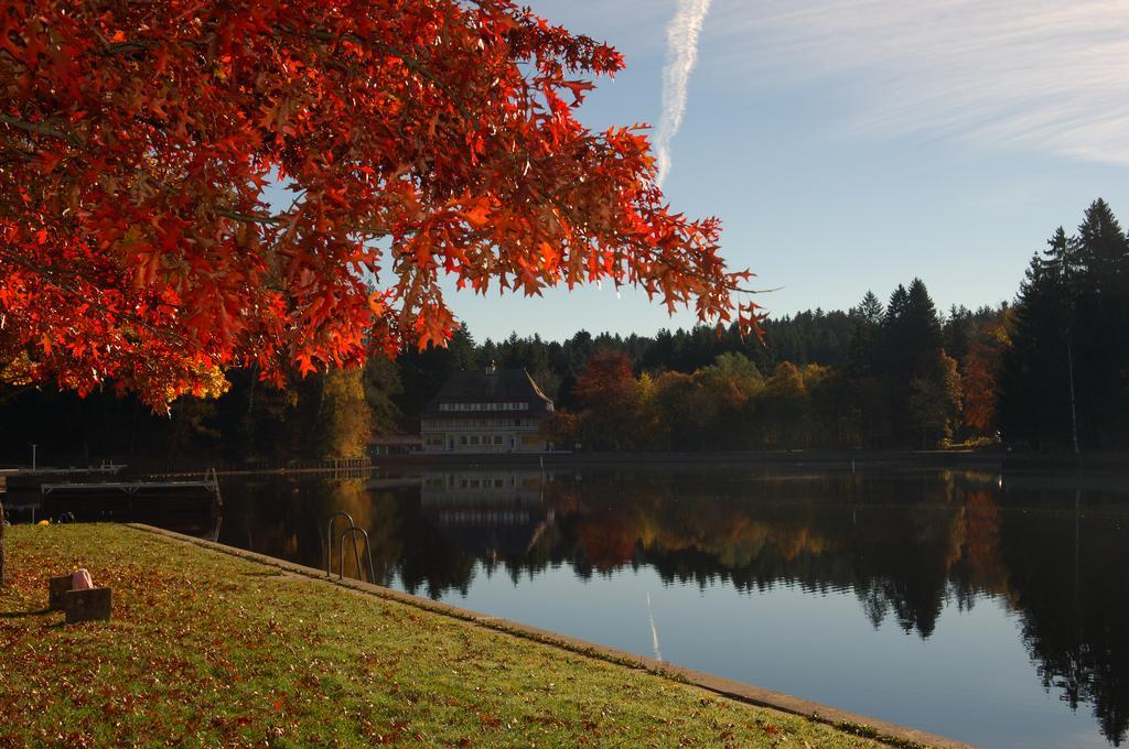 לינדנברג אים אלגאו Hotel Waldsee מראה חיצוני תמונה