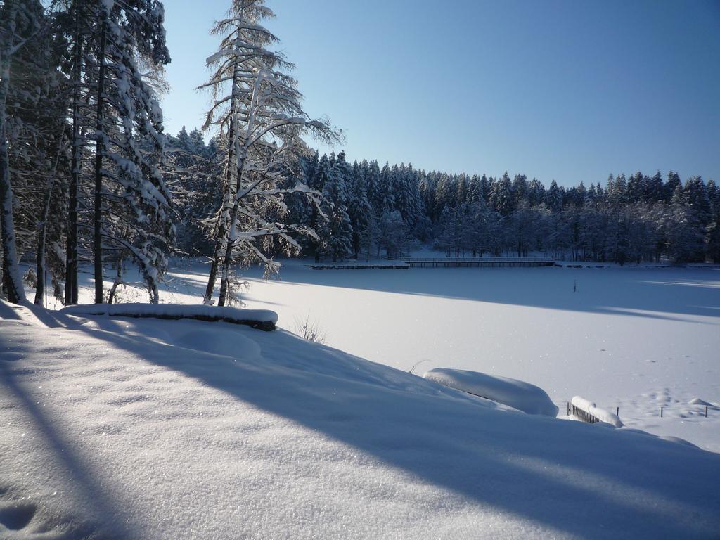 לינדנברג אים אלגאו Hotel Waldsee מראה חיצוני תמונה